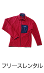 フリースレンタル